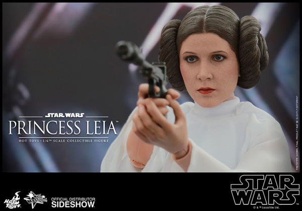 902490-princess-leia-07