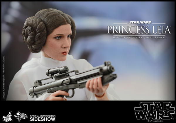 902490-princess-leia-11